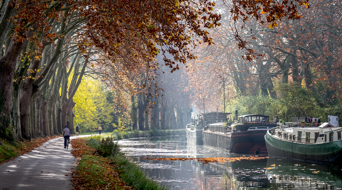 long boats on a canal covered with an archway of trees in autumnal colours with a cyclist riding into the distance
